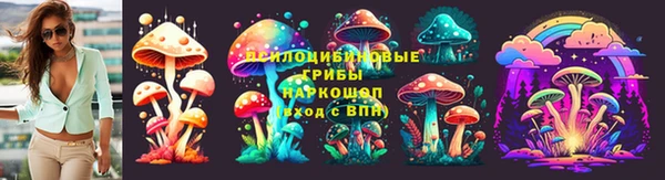 СК Абдулино