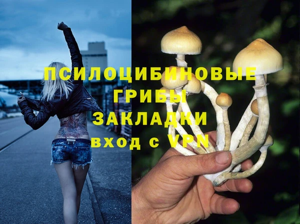 хмурый Абинск