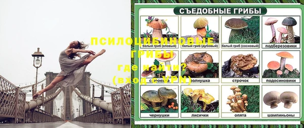 хмурый Абинск